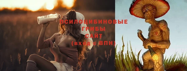 2c-b Алексин