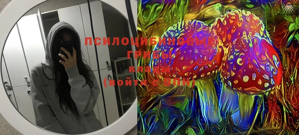 МДПВ Алексеевка