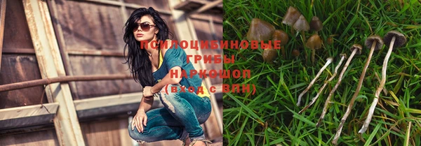 скорость Алзамай