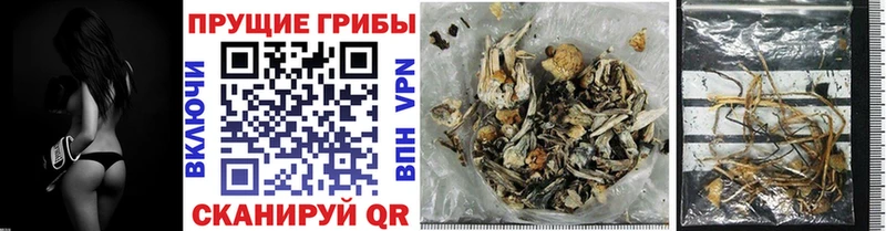 Псилоцибиновые грибы ЛСД Суровикино